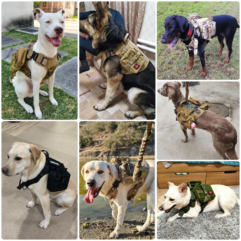 Tactical Dog Harness and Leash Set-4