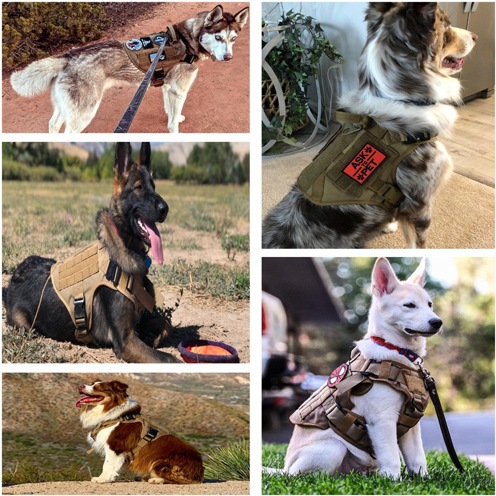 Tactical Dog Harness and Leash Set-3
